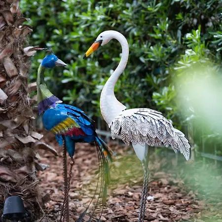 Dyrrahu Golem (Tirana)