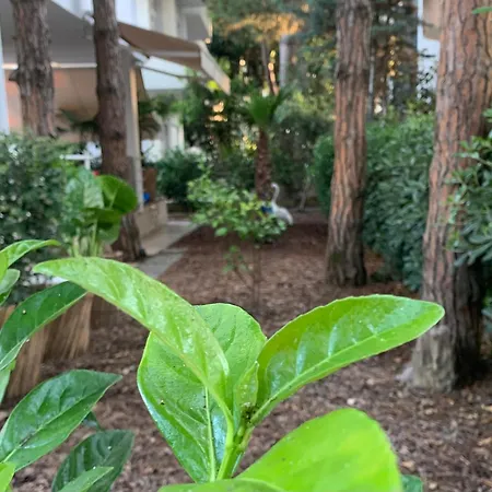 Dyrrahu * Golem (Tirana)