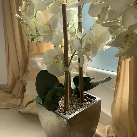 Dyrrahu Willa Golem (Tirana)