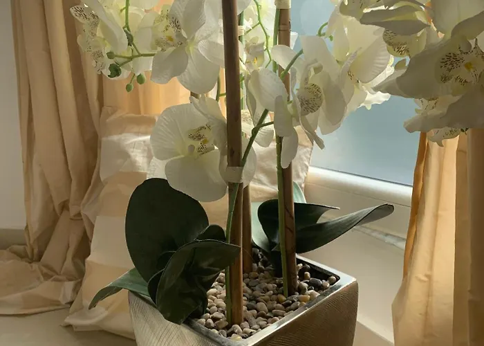 Dyrrahu Villa Golem (Tirana)