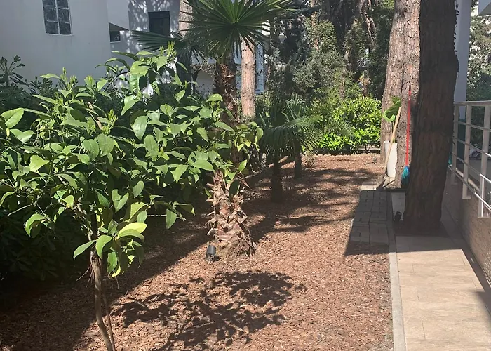 Dyrrahu Golem (Tirana)