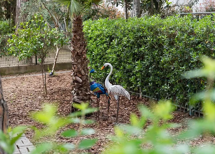 Dyrrahu Villa Golem (Tirana)